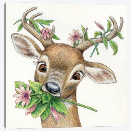 Deer Canvas Print #MLH74} by Miri Leshem-Pelly Canvas Wall Art