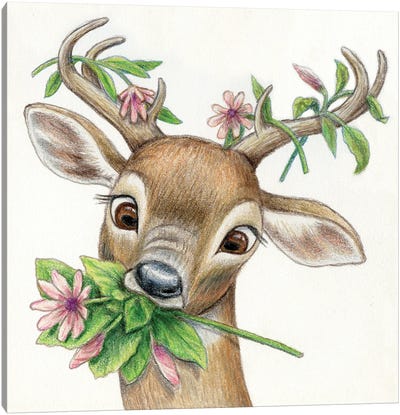 Deer Canvas Art Print - Miri Leshem-Pelly