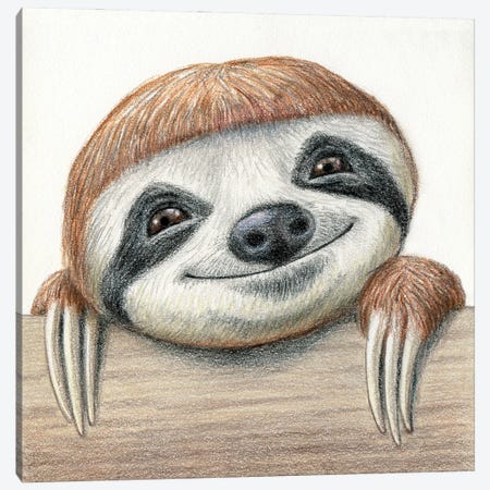 Sloth Canvas Print #MLH76} by Miri Leshem-Pelly Canvas Wall Art
