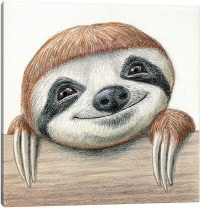 Sloth Canvas Art Print - Miri Leshem-Pelly