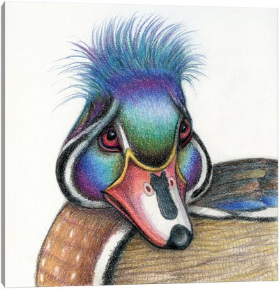 Duck Canvas Art Print - Miri Leshem-Pelly