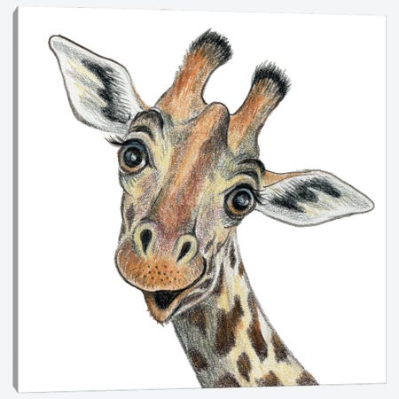 Giraffe Canvas Print #MLH7} by Miri Leshem-Pelly Canvas Art Print