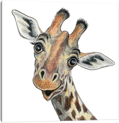 Giraffe Canvas Art Print - Miri Leshem-Pelly
