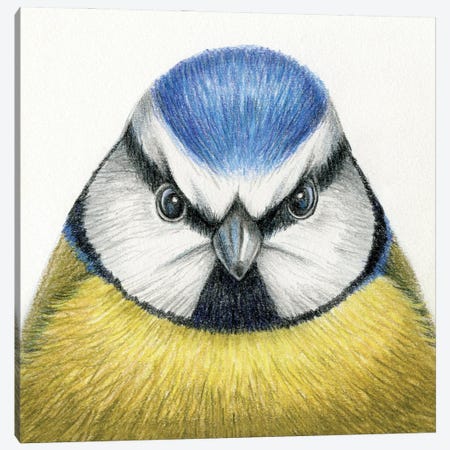 Tit Bird Canvas Print #MLH81} by Miri Leshem-Pelly Canvas Art