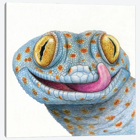 Gecko Canvas Print #MLH82} by Miri Leshem-Pelly Canvas Artwork