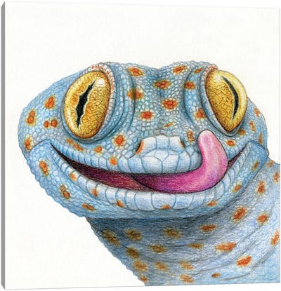 Gecko Canvas Art Print - Miri Leshem-Pelly