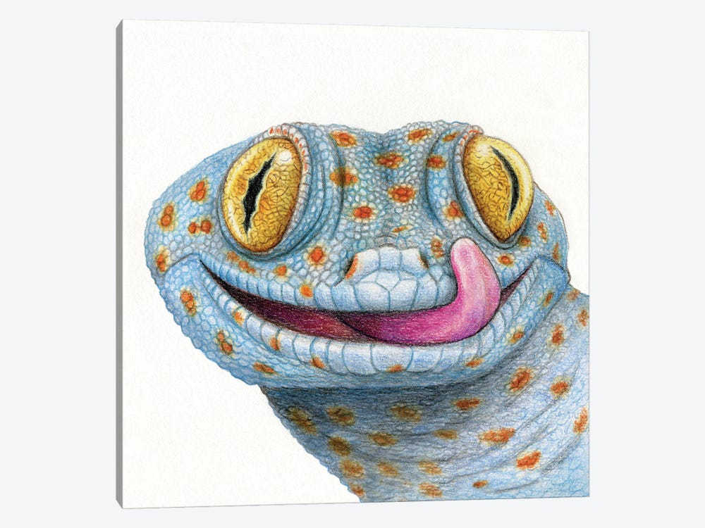 Gecko by Miri Leshem-Pelly 1-piece Art Print