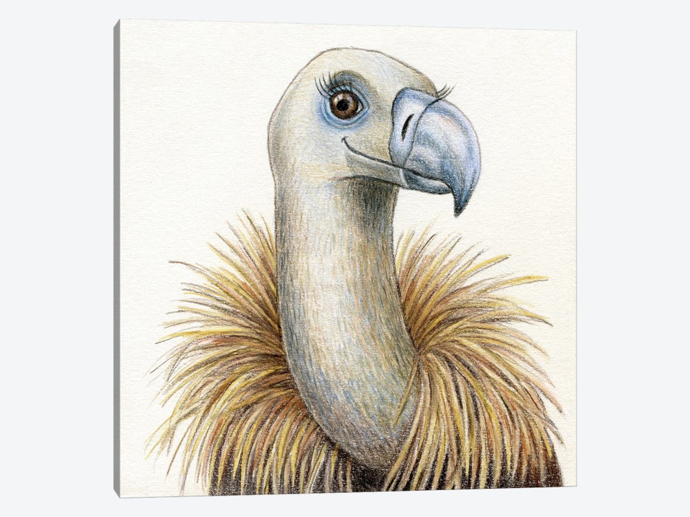 Vulture by Miri Leshem-Pelly 1-piece Canvas Art Print