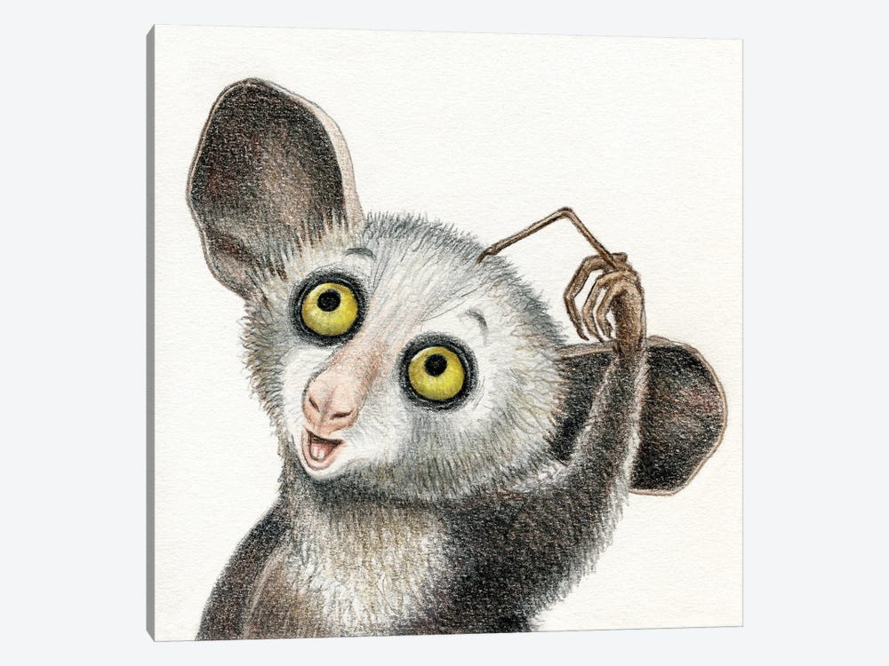 Aye-Aye Lemur by Miri Leshem-Pelly 1-piece Canvas Artwork