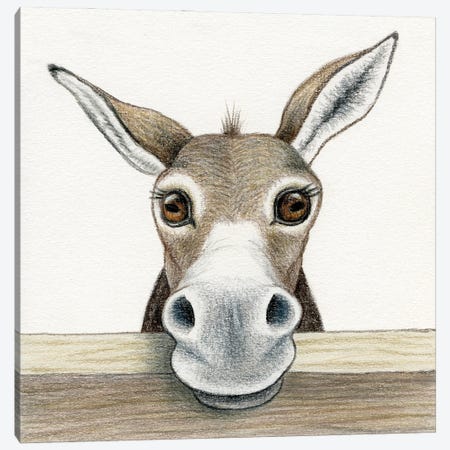 Donkey Canvas Print #MLH87} by Miri Leshem-Pelly Art Print