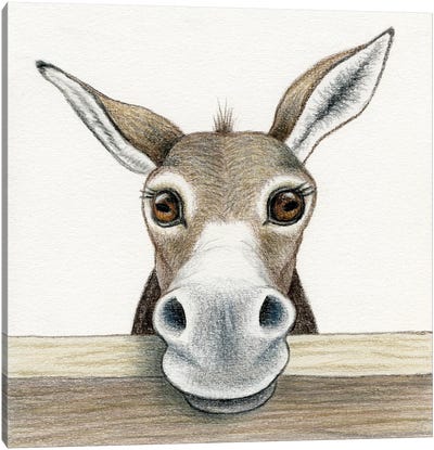 Donkey Canvas Art Print - Miri Leshem-Pelly