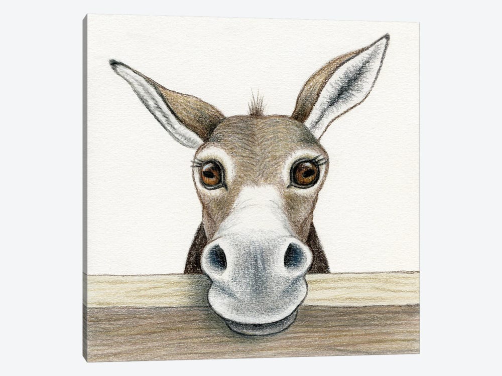 Donkey by Miri Leshem-Pelly 1-piece Canvas Art