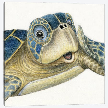 Turtle Canvas Print #MLH89} by Miri Leshem-Pelly Canvas Art