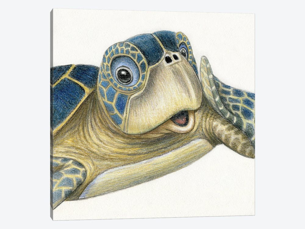 Turtle by Miri Leshem-Pelly 1-piece Canvas Art