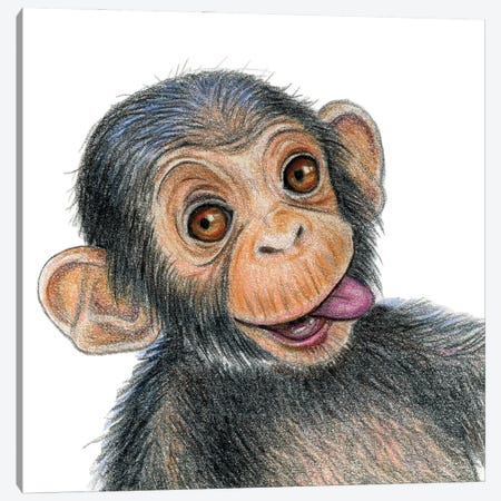 Chimpanzee Canvas Print #MLH8} by Miri Leshem-Pelly Canvas Artwork