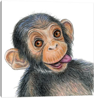 Chimpanzee Canvas Art Print - Miri Leshem-Pelly