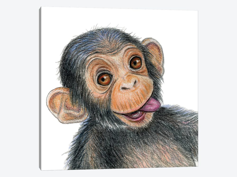 Chimpanzee by Miri Leshem-Pelly 1-piece Canvas Art
