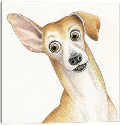 Dog Canvas Art Print - Italian Greyhounds