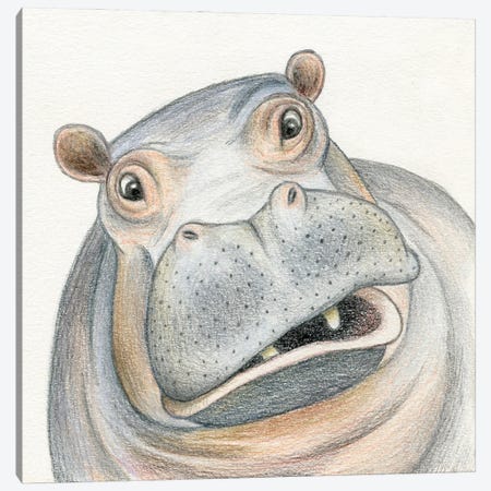 Hippo Canvas Print #MLH93} by Miri Leshem-Pelly Canvas Print