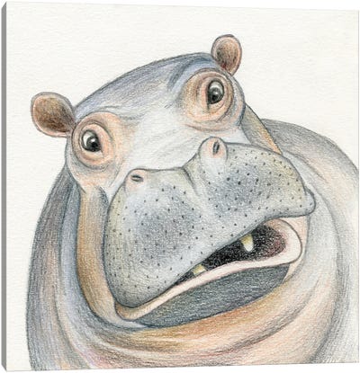 Hippo Canvas Art Print - Miri Leshem-Pelly