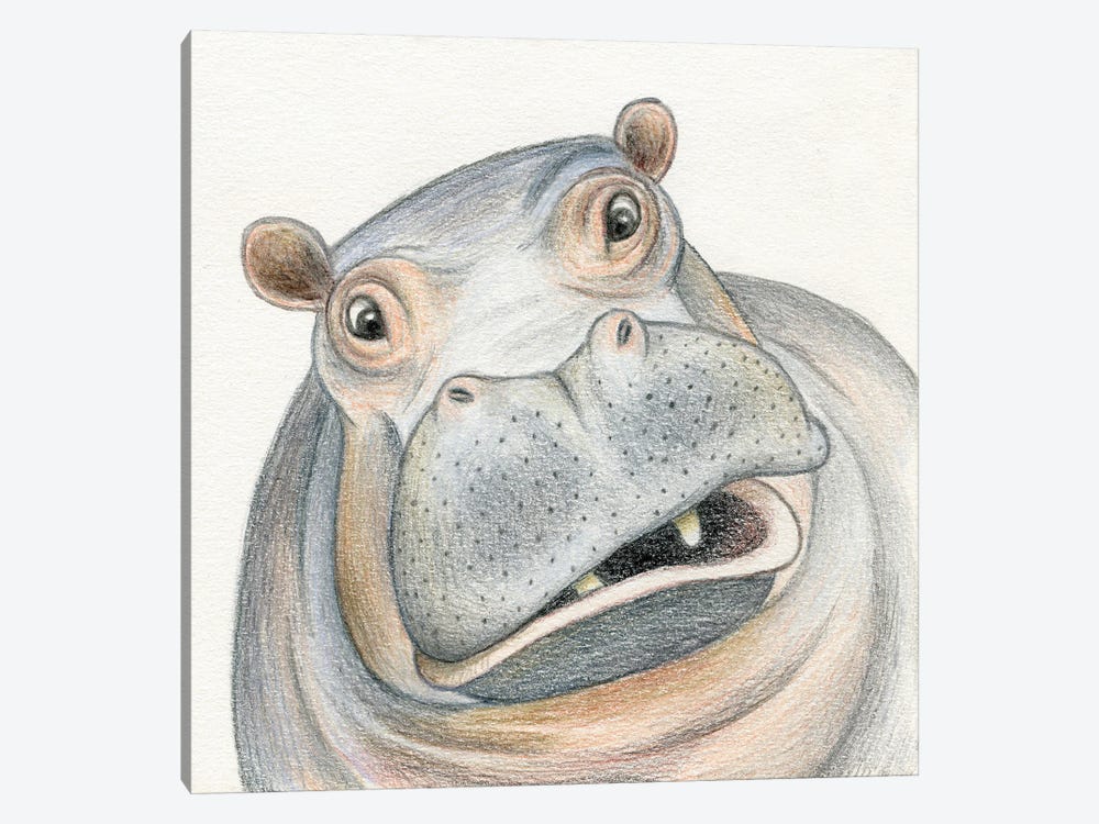 Hippo by Miri Leshem-Pelly 1-piece Canvas Print
