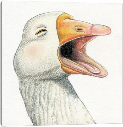 Goose Canvas Art Print - Miri Leshem-Pelly