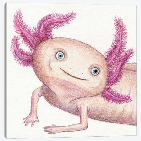 Axolotl Canvas Print #MLH95} by Miri Leshem-Pelly Canvas Wall Art
