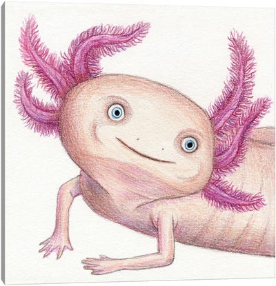 Axolotl Canvas Art Print - Salamander Art