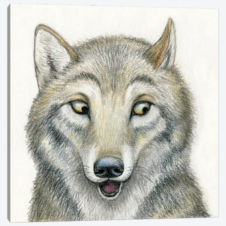Wolf Canvas Print #MLH98} by Miri Leshem-Pelly Canvas Print