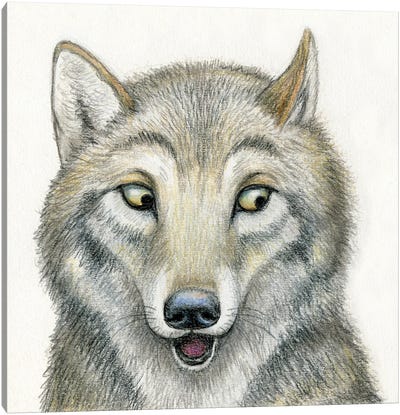 Wolf Canvas Art Print - Miri Leshem-Pelly