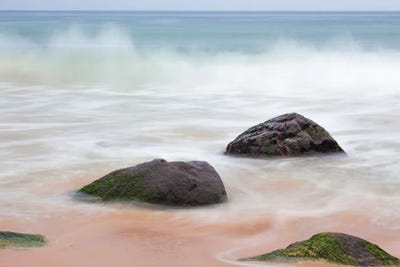Trio by Melissa Mcclain canvas print