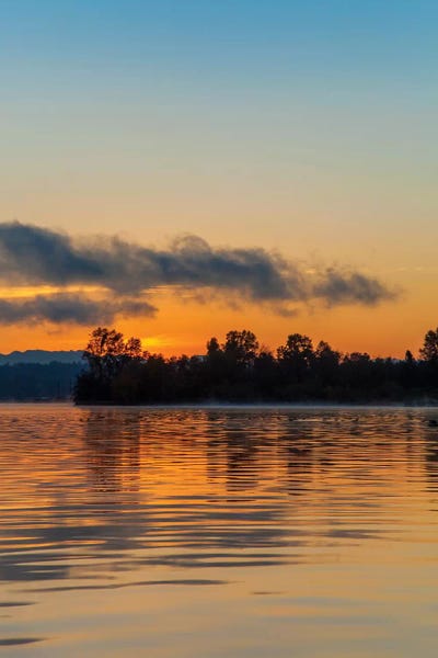 Melissa Mcclain: Molten Gold by Melissa Mcclain