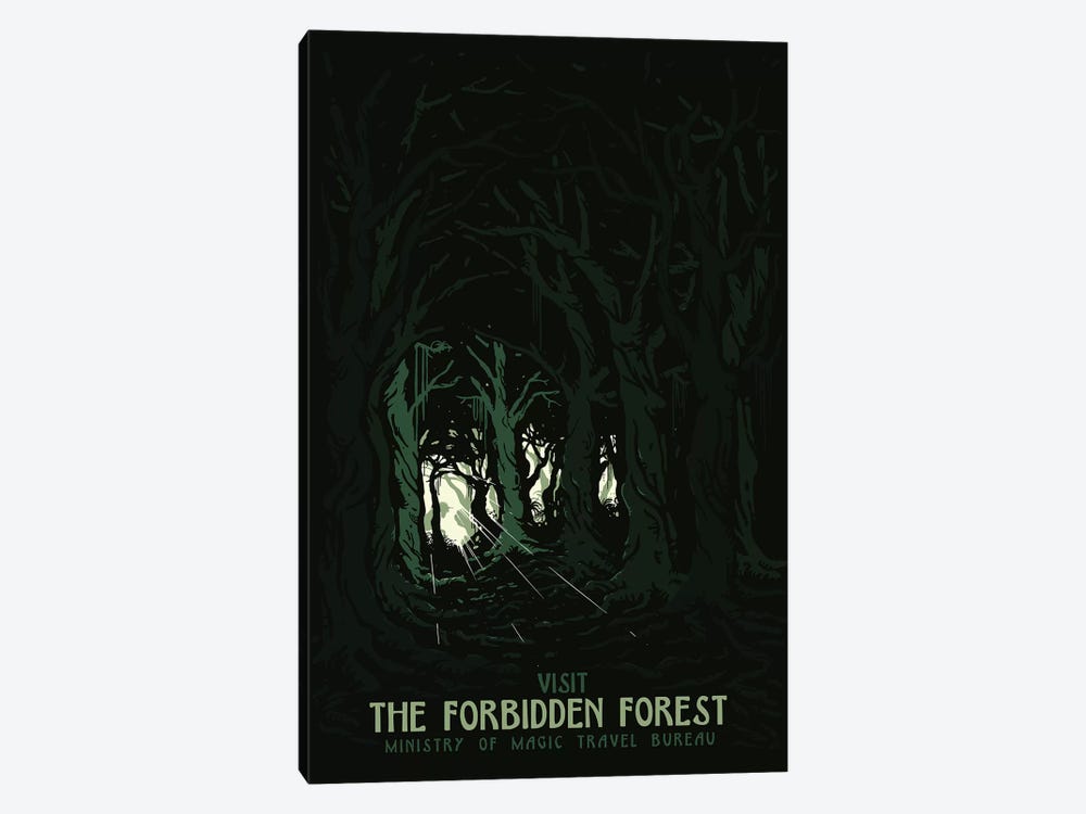 Visit The Forbidden Forest II by Mathiole 1-piece Canvas Wall Art