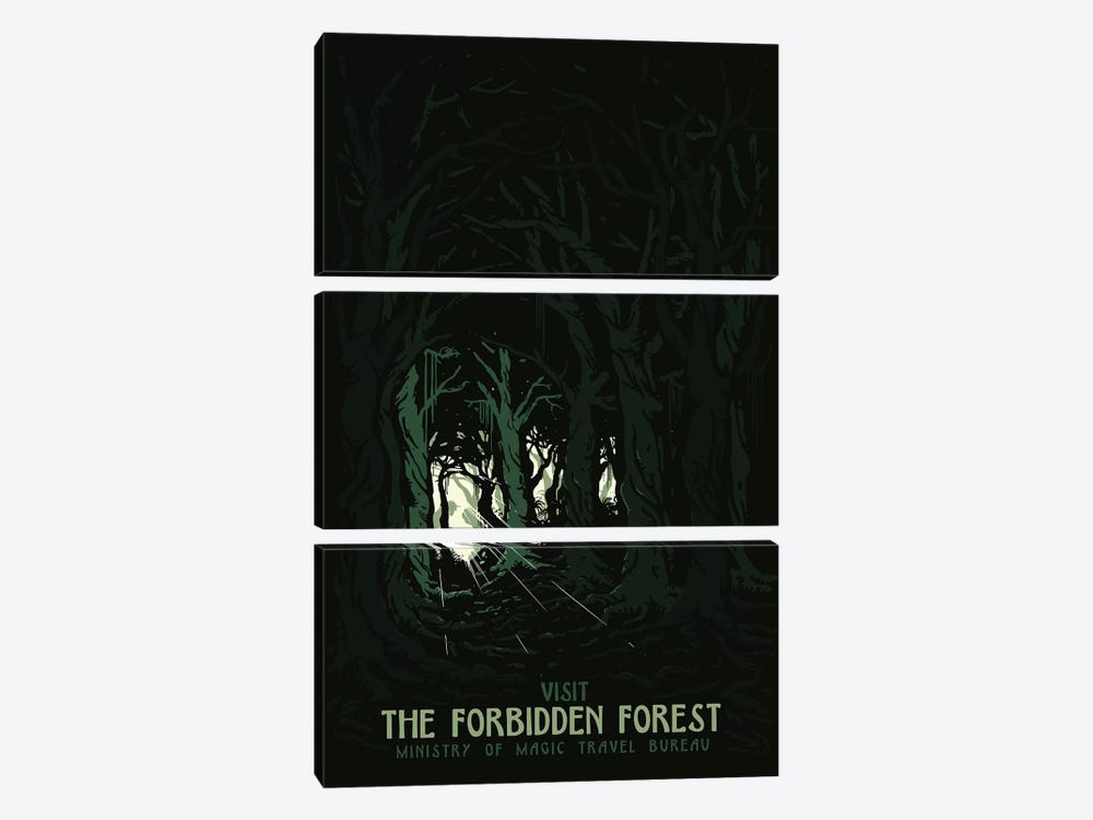 Visit The Forbidden Forest II by Mathiole 3-piece Canvas Wall Art