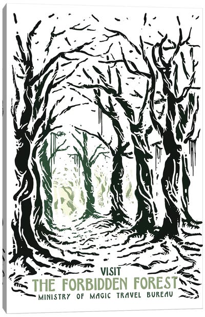 Visit The Forbidden Forest Canvas Art Print - Mathiole