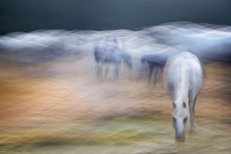 On The Pasture