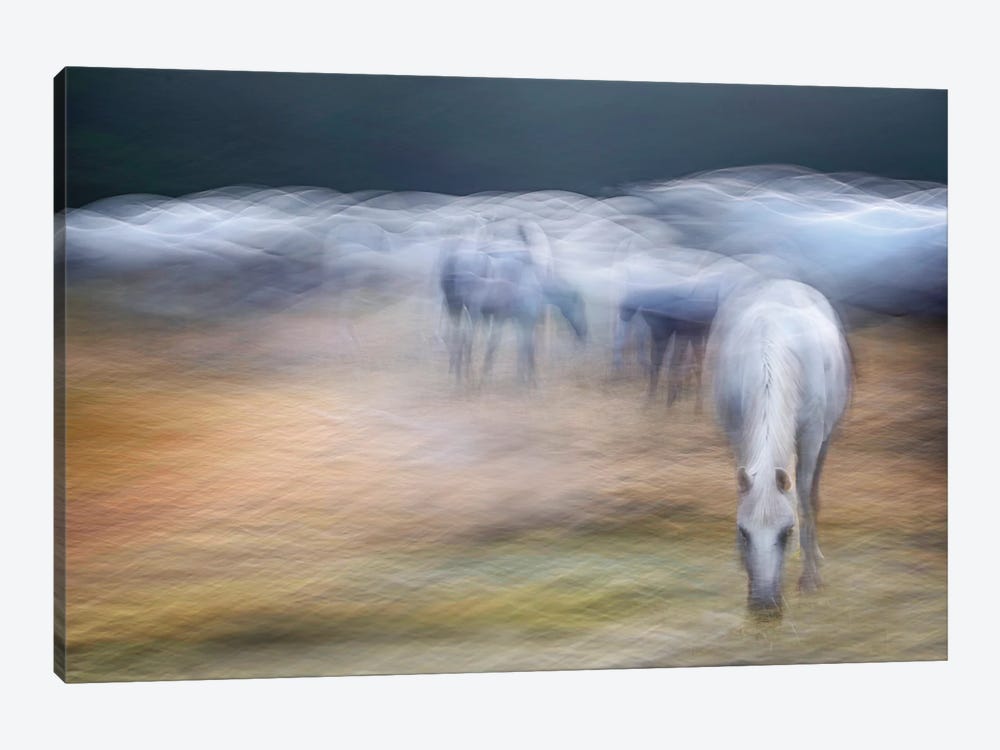 On The Pasture by Milan Malovrh 1-piece Canvas Wall Art