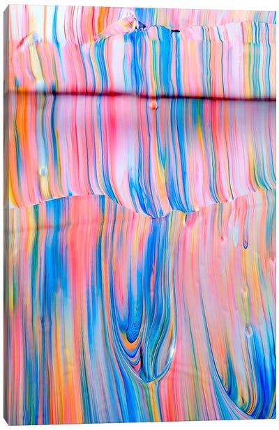 Untitled 1 Canvas Art Print - Psychedelic Coral