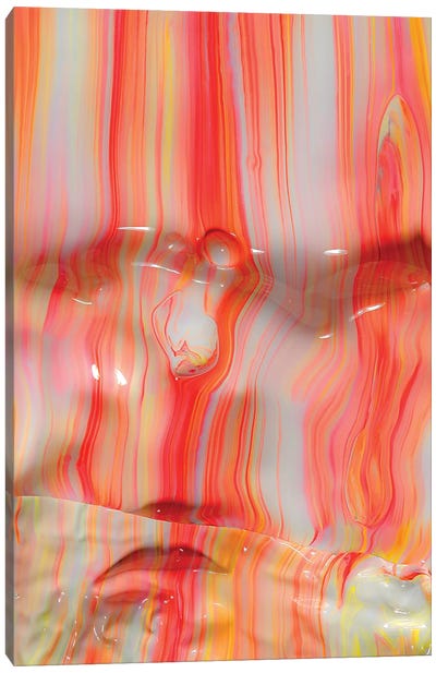Untitled 3 Canvas Art Print - Psychedelic Coral