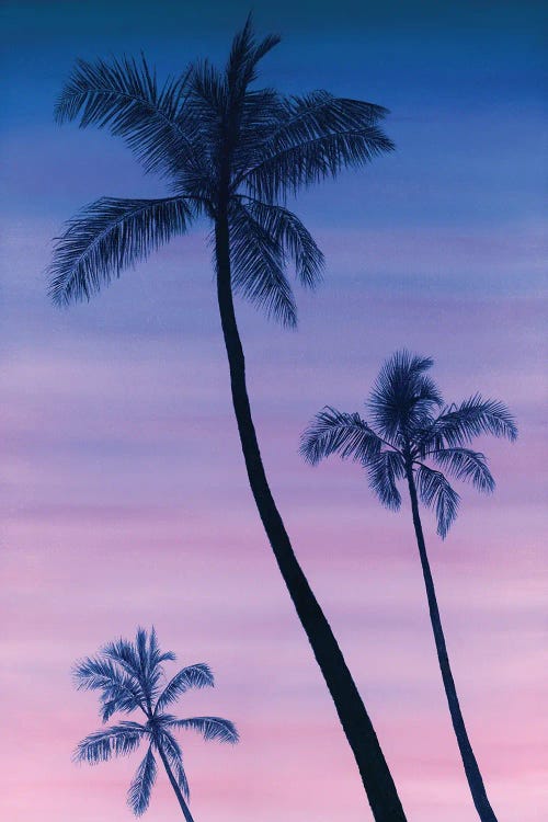 Sunset By The Palm Trees