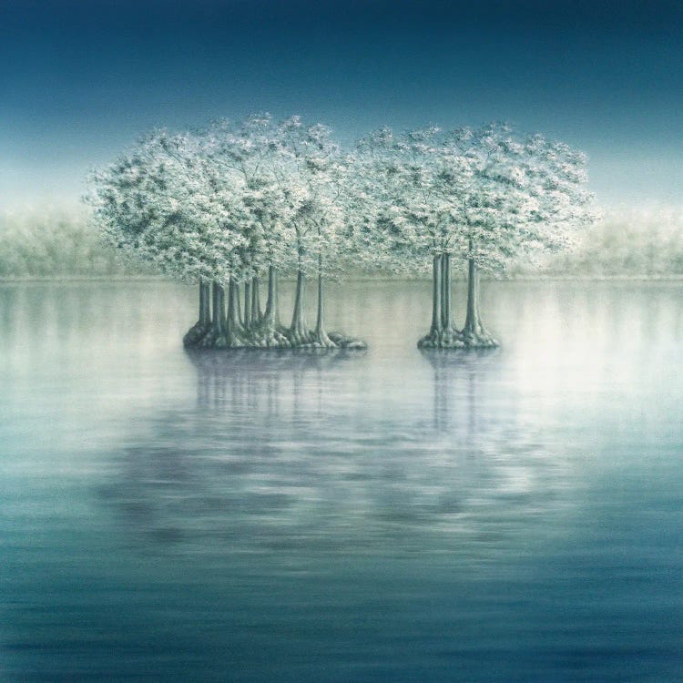 Reflective Times by Marlene Llanes wall art