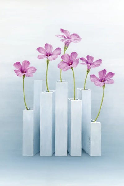 Marlene Llanes: Purely Pink by Marlene Llanes