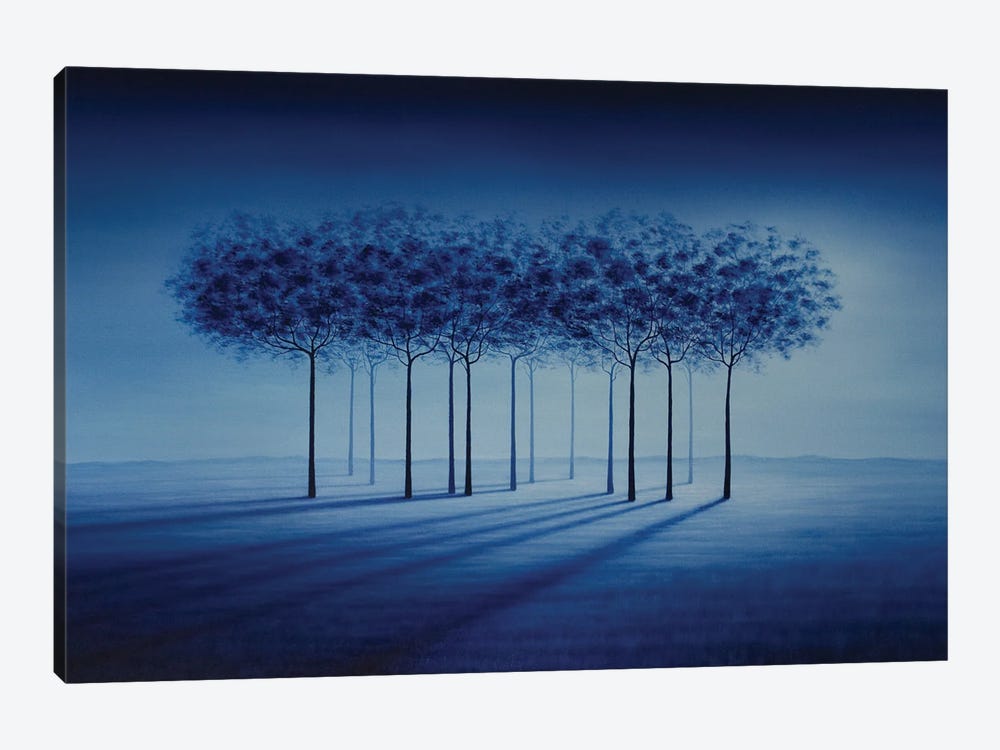 Prairie Shadows by Marlene Llanes 1-piece Canvas Art