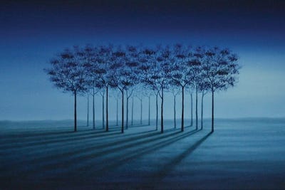 Peaceful Perspectives by Marlene Llanes art print