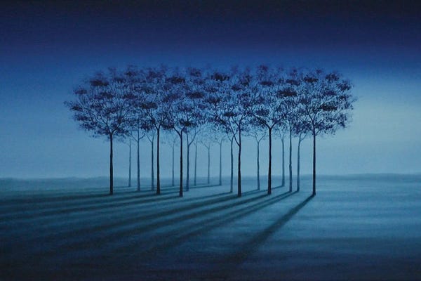 Marlene Llanes: Peaceful Perspectives by Marlene Llanes