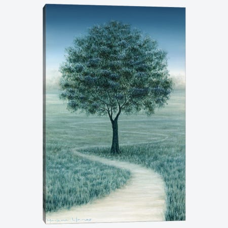 On The Right Path Canvas Print #MLZ20} by Marlene Llanes Canvas Artwork