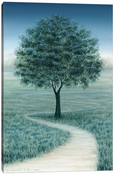 On The Right Path Canvas Art Print - Nature Lover