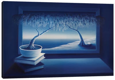 Natural Meaning Canvas Art Print - Window Art