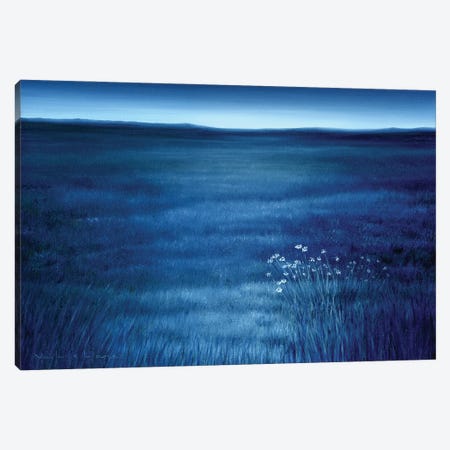 Blue Prairie Canvas Print #MLZ47} by Marlene Llanes Art Print