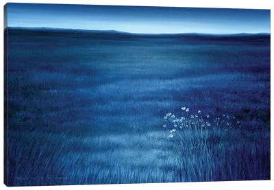 Blue Prairie Canvas Art Print - Marlene Llanes